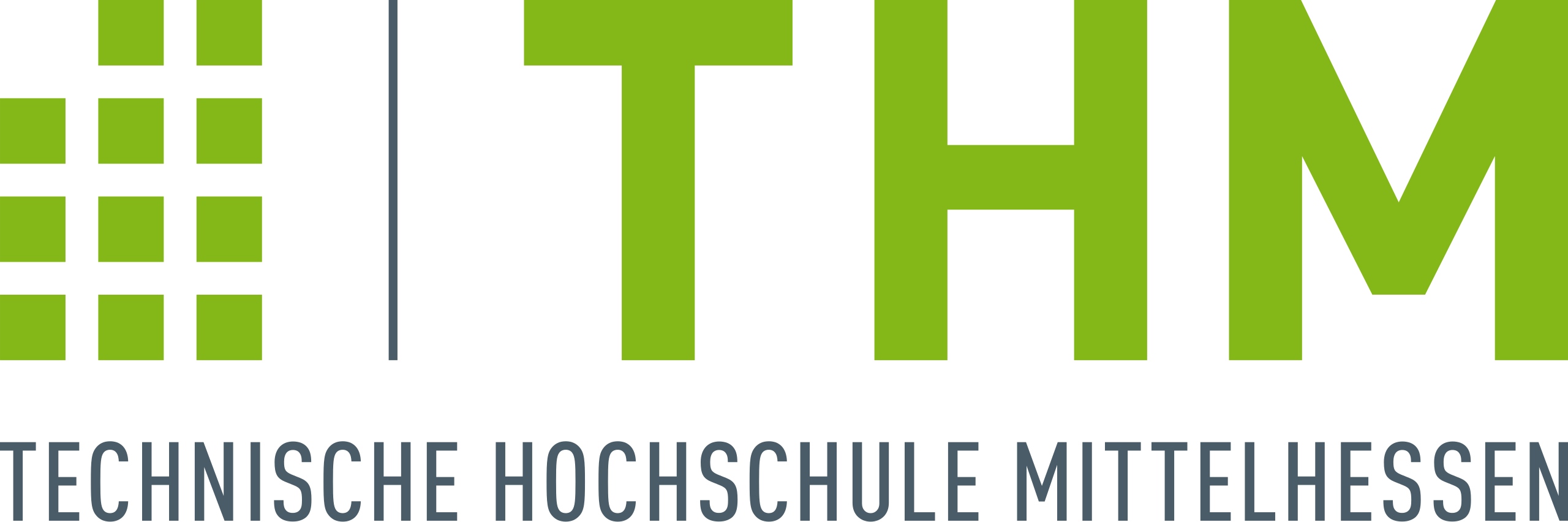 THM Logo